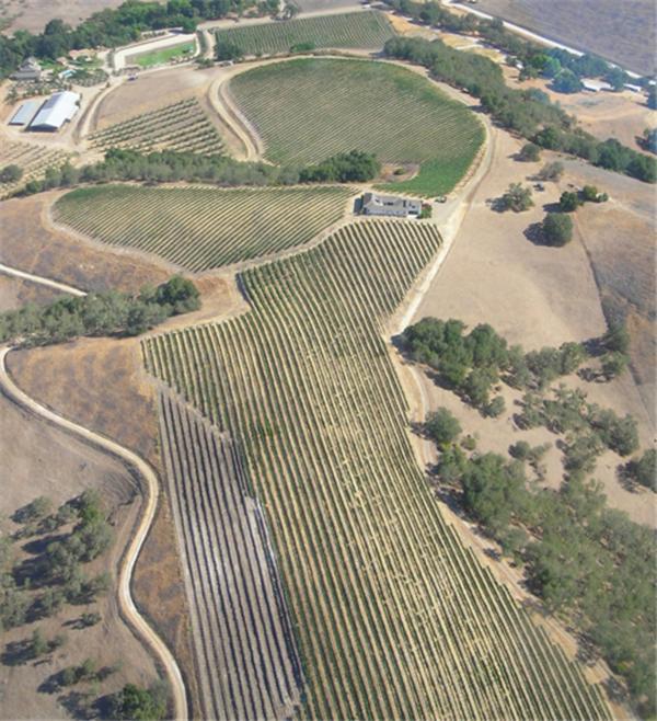The Eden House Vineyard Hotel Templeton Exterior photo